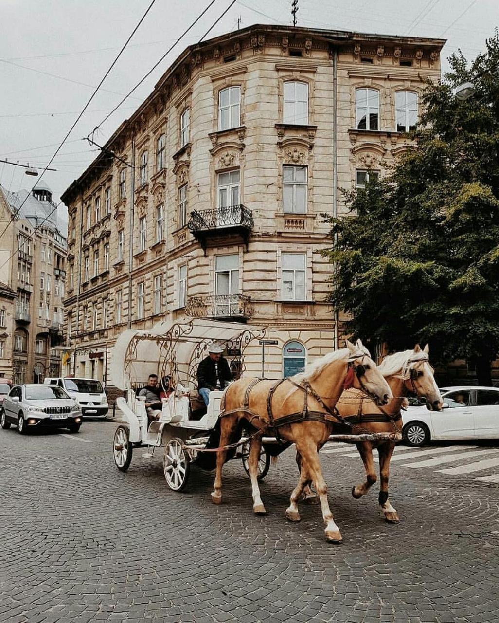 Green Apartment Lviv Exterior foto